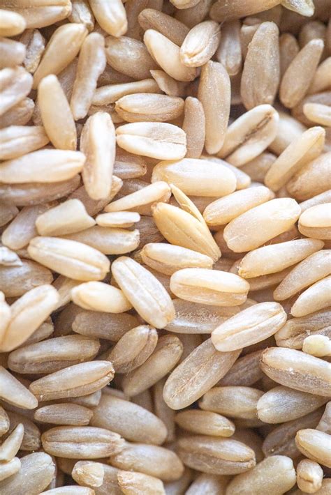 breakfast oat groats instant pot recipe  red spatula