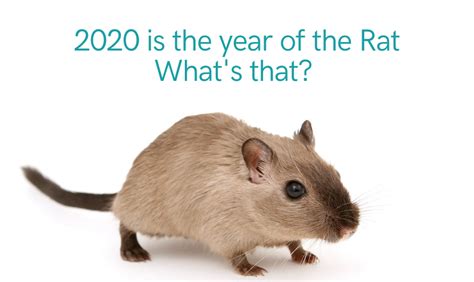 Ratty Meaning