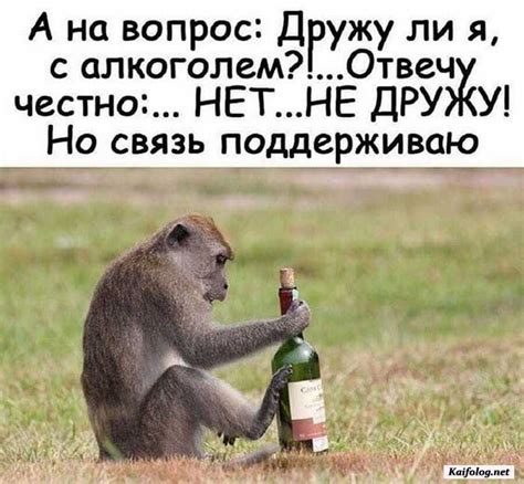 Пьяные и смешные. 230 фото приколов
