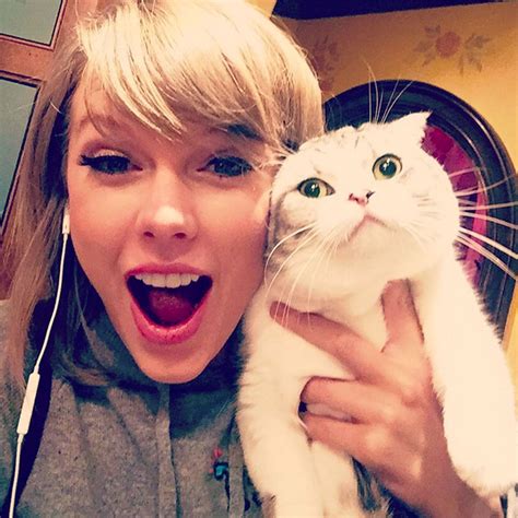 Discover Taylor Swift's Cats: Meet Her Feline Friends