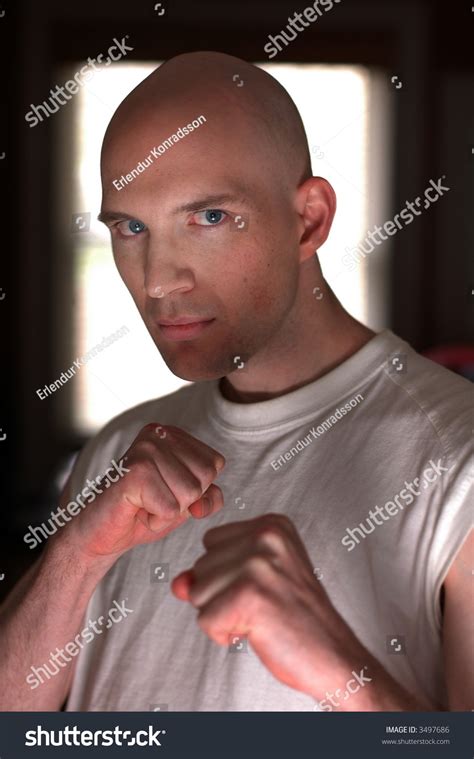 Boxer Bald Young Man Posing Boxer Stock Photo 3497686 | Shutterstock