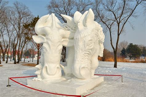 The Snow Sculpture - Horses Stock Photo - Image of outdoor, scenic ...