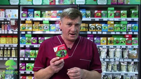 Лопух.Купить в интернет магазине лекарственных трав Русские Корни - YouTube