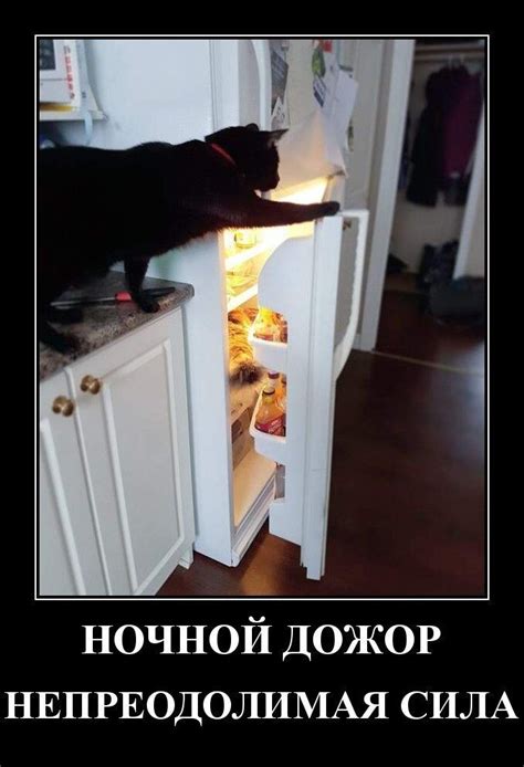 Жизненные демотиваторы / Приколы