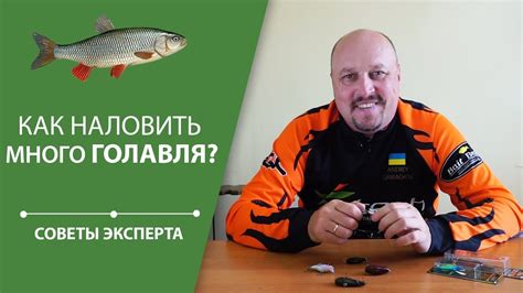 Как наловить много голавля? | Советы эксперта - YouTube