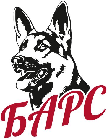 Барс