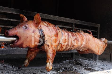 Spit Roasted Pig Stock Photo | Royalty-Free | FreeImages