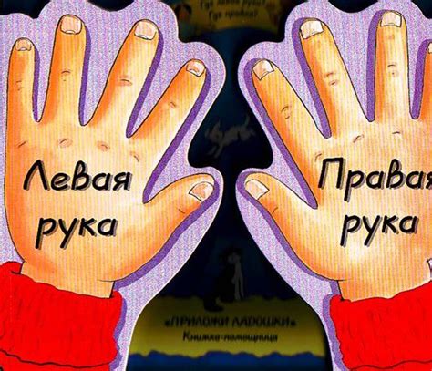 Территория детства : Как научить ребенка различать лево и право
