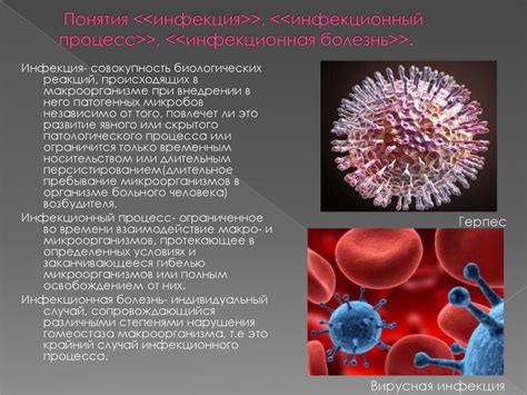 Профилактика инфекционных болезней и эпидемий - online presentation