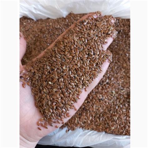 Семена льна масличного — Agro-Uzbekistan