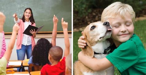 “Respeto hacia los animales”– Las nuevas asignaturas que transformarán el corazón de los niños ...