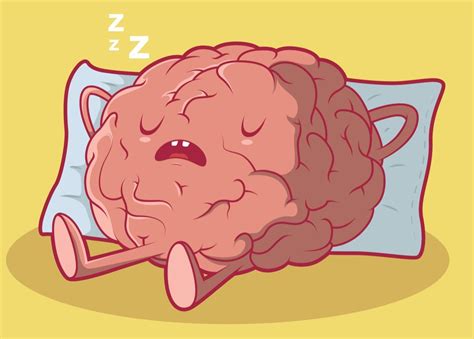 As You Snooze, Your Brain Reviews | Brain illustration, Brain graphic ...