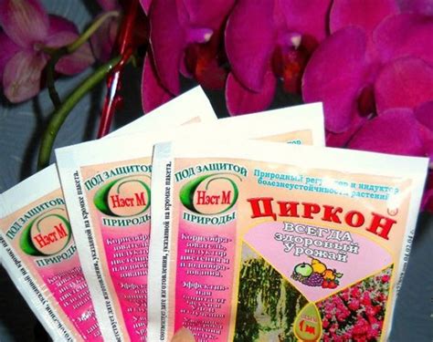 "Циркон" для растений: состав, назначение и преимущества стимулятора ...