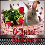 Впечатляющая открытка с кроликом С днем Рождения- Скачать бесплатно на ...