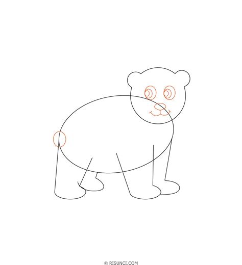 Как нарисовать белого медведя поэтапно? 🖌 Рисунки карандашом поэтапно
