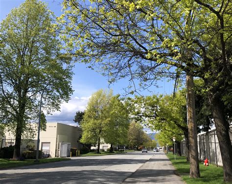 Tiffany Luu | A day in the life of a UBC Sauder Co-op student