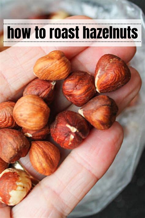 How to Roast Hazelnuts in the oven | How to roast hazelnuts, Hazelnut ...