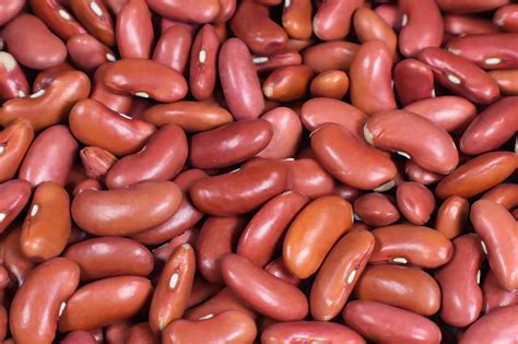 kidney bean coffee images pixabay