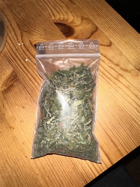 My weed looks like this, should I be worried? : r/weed