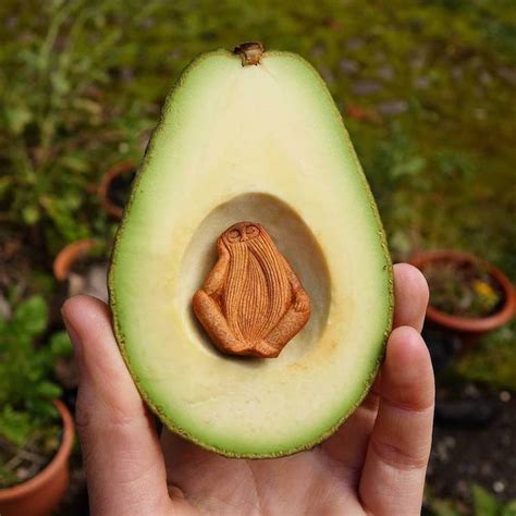 Meet Jan Campbell And Her Amazing Avocado Pit Art