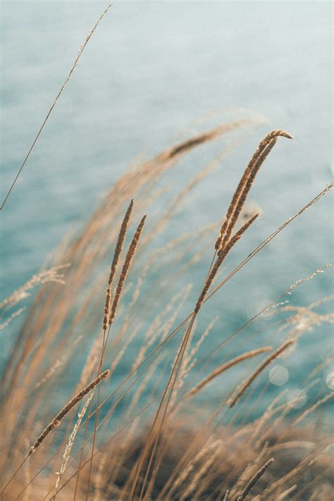 Windy Day Wallpapers - Wallpaper Cave