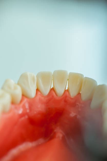 premium photo teeth