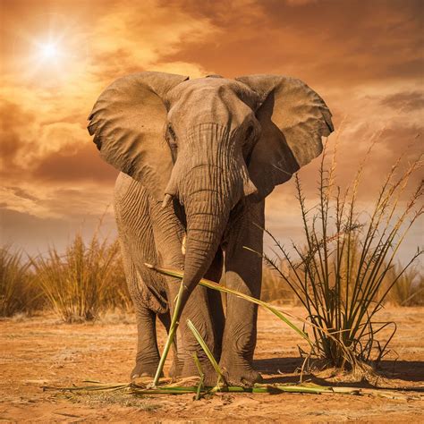 Unlocking the Secrets of Artistic Sculpture: A Deep Dive into Form and Expression