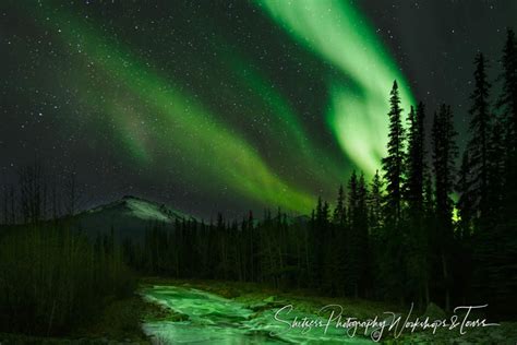 Northern Lights of Alaska - Shetzers Photography