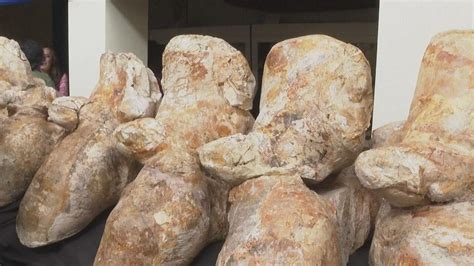 Chinese Scientists Unveil 300,000-Year-Old Hominid Skull Unlike Any ...