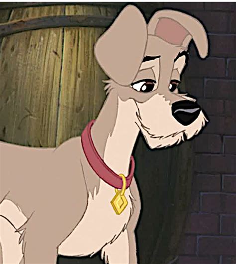 Tramp - Disney's Lady and the Tramp Photo (40962942) - Fanpop