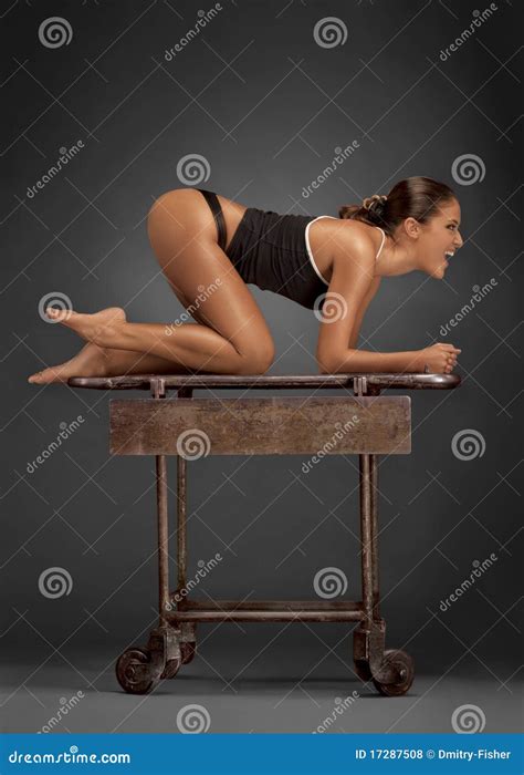 Doggy style. stock photo. Image of good, flexible, body - 17287508