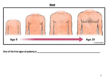 puberty  boys diagrams  yashwanth dhakshana tpt