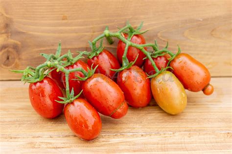 ШОКОЛАДНЫЙ ЗАЙЧИК — BTomate