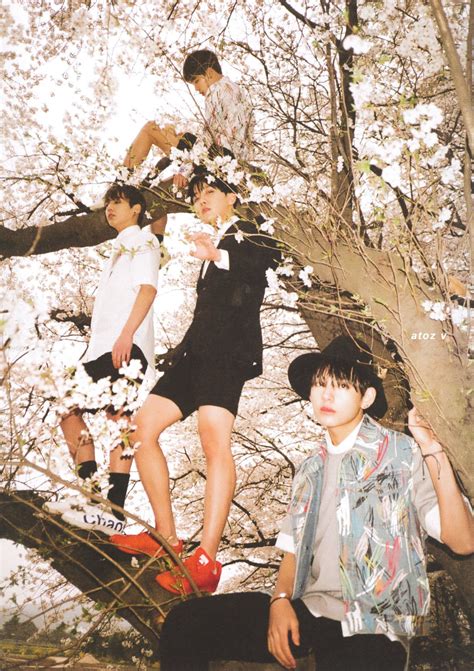 Bts Hyyh Concept Photos - btsae