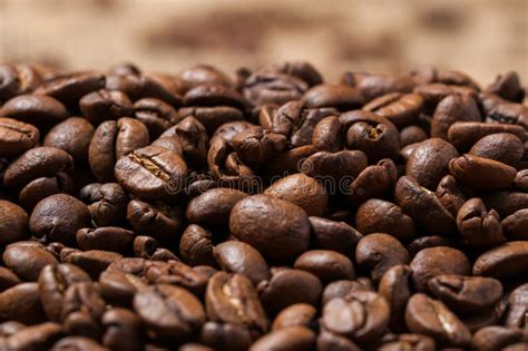 coffee beans close  bokeh stock image image  bean drink
