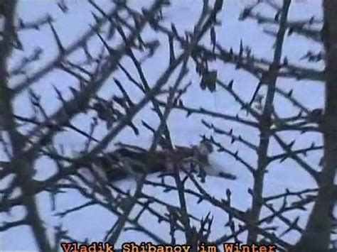 Vladik Shibanov Videos - Dailymotion