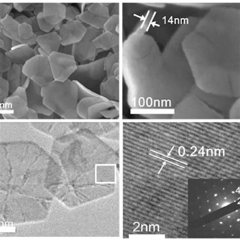 Fe(OH) 2 and the as-prepared Fe 3 O 4. (a) TEM images of Fe(OH) 2 and ...