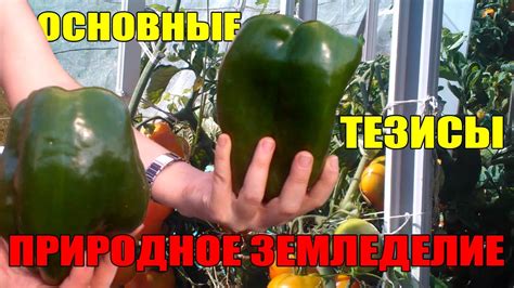 ПРИРОДНОЕ ЗЕМЛЕДЕЛИЕ - ОСНОВНЫЕ ТЕЗИСЫ! - YouTube