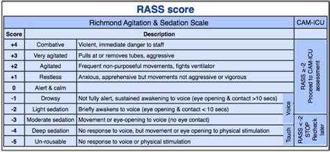 rass score intensive