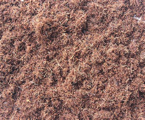 growing excellence cultivating  customized substrates