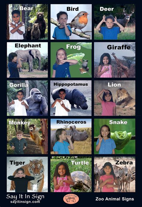 ASL Zoo Animal Signs Poster - ASL Lenticular Poster – Say It In Sign