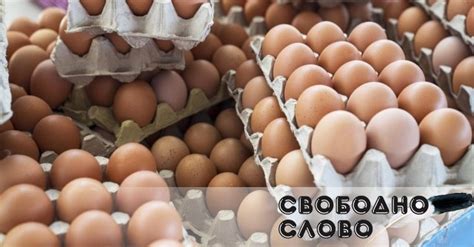 Време е България да научи истината за вносните яйца и пиле, обяви роден ...