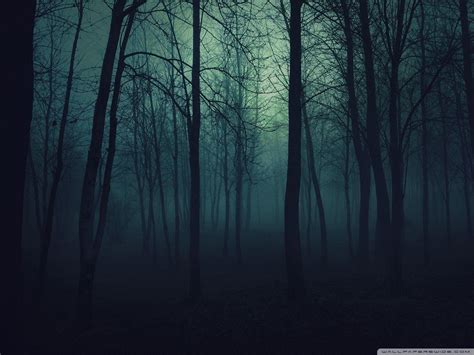 Dark Forest 4K Ultra HD Wallpapers - Top Free Dark Forest 4K Ultra HD ...