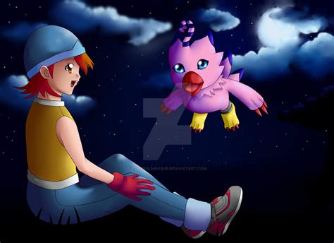 Sora And Biyomon by EternalMasque on DeviantArt