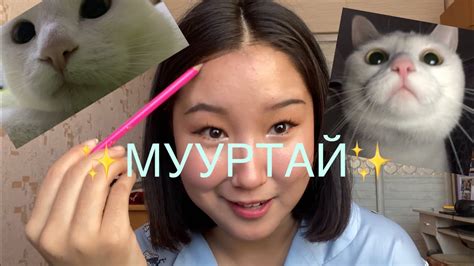 🐱Муур тэжээх, хариуцлагууд, туршлага, stories🐱 - YouTube