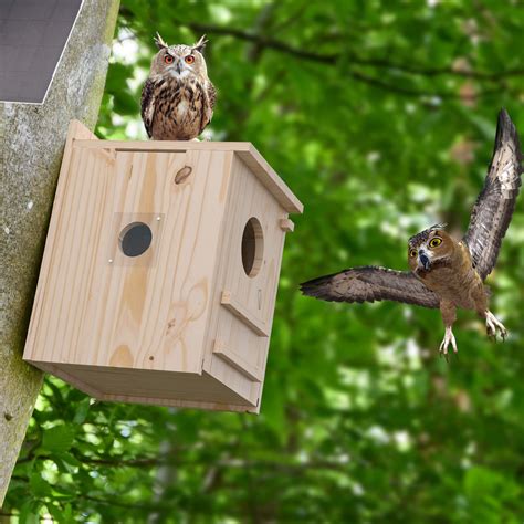 Millwood Pines Smart Owl House With Camera, Outdoor Hanging Natural