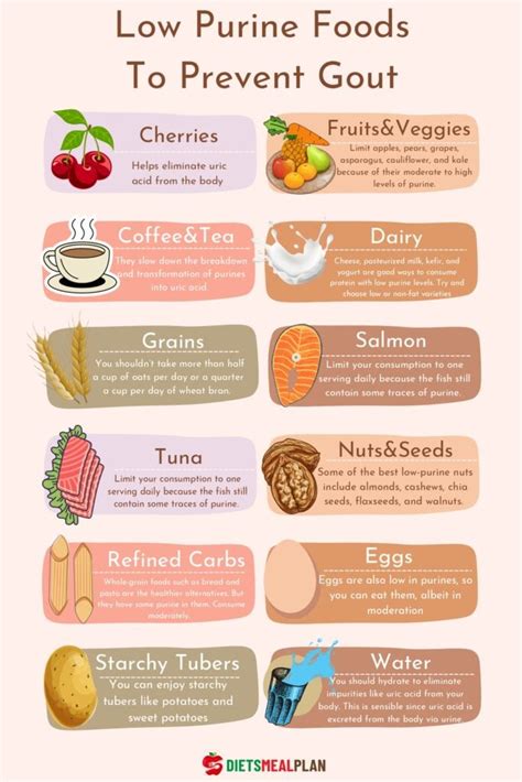 Low Purine Foods List | 12 Foods That are Low in Purine