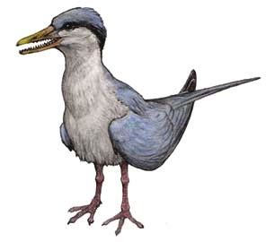 The Fish bird, Ichthyornis (1872) Phylum :... - The Evolution of Life ...