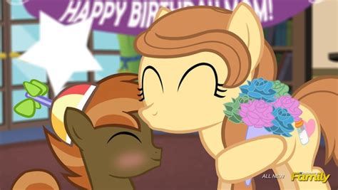 MLP Button and mother Montage photo | Pixiz