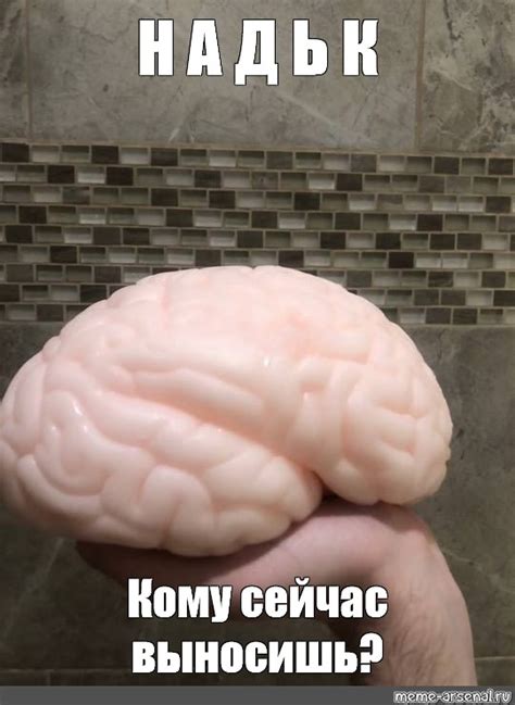Создать мем "мозг шина, гигантский мозг, мозг человека" - Картинки ...